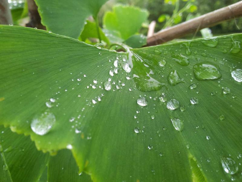 西游记释厄传<br>qyf5seag.cn 心猿意马驯服